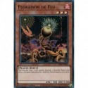 Floraison de Feu (CR) [RA01]