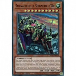 Surnaliche le Seigneur d'Or (V2) (QCSE) [RA01]