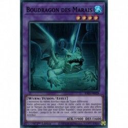 Boudragon des Marais (QCSE) [RA01]