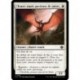 (Foil) Blanche - Chauve-souris guetteuse de ruines (U) [LCI]