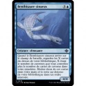 (Foil) Bleue - Benthisaure sinueux (U) [LCI]