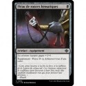 (Foil) Noire - Fléau de ronces hématiques (U) [LCI]