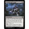 (Foil) Noire - Canonisé par le sang (U) [LCI]