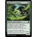 (Foil) Verte - Bagarreur de Malamet (C) [LCI]