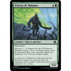 (Foil) Verte - Vétéran de Malamet (C) [LCI]