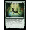 (Foil) Verte - Spéléologie (U) [LCI]