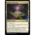 (Foil) Terrain - Caverne captivante (C) [LCI]