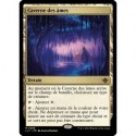 (Foil) Terrain - Caverne des âmes (M) [LCI]