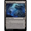 (Foil) Terrain - Nécropole cachée (C) [LCI]