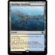 (Foil) Terrain - Mouillage tourmenté (R) [LCI]
