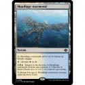 (Foil) Terrain - Mouillage tourmenté (R) [LCI]