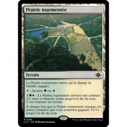 (Foil) Terrain - Prairie tourmentée (R) [LCI]
