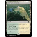(Foil) Terrain - Prairie tourmentée (R) [LCI]