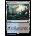 (Foil) Terrain - Récif tourmenté (R) [LCI]