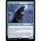 (Foil) Bleue - Faucon convoité (R) [MKM]