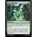 (Foil) Verte - Force fanatique (C) [MKM]