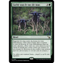 (Foil) Verte - Caché sous le nez de tous (R) [MKM]