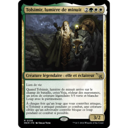 (Foil) Multicolore - Tolsimir, lumière de minuit (R) [MKM]