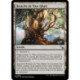 (Foil) Terrain - Branche de Vitu-Ghazi (U) [MKM]