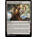 (Foil) Terrain - Branche de Vitu-Ghazi (U) [MKM]