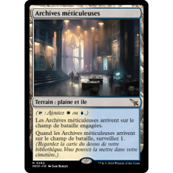 (Foil) Terrain - Archives méticuleuses (R) [MKM]
