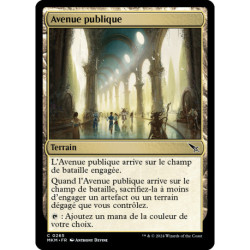 (Foil) Terrain - Avenue publique (C) [MKM]
