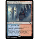 (Foil) Terrain - Chutes tumultueuses (R) [MKM]