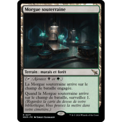(Foil) Terrain - Morgue souterraine (R) [MKM]