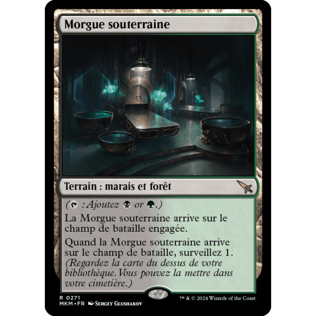 (Foil) Terrain - Morgue souterraine (R) [MKM]