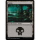 (Foil) Terrain - Marais (V2) (L) [MKM]