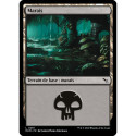 (Foil) Terrain - Marais (V2) (L) [MKM]