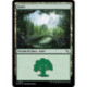(Foil) Terrain - Forêt (V2) (L) [MKM]