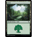 (Foil) Terrain - Forêt (V2) (L) [MKM]