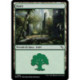 (Foil) Terrain - Forêt (V3) (L) [MKM]