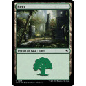 (Foil) Terrain - Forêt (V3) (L) [MKM]