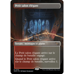 (Foil) Terrain - (BL) Petit salon élégant (R) [MKM]
