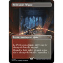 (Foil) Terrain - (BL) Petit salon élégant (R) [MKM]