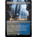 (Foil) Terrain - (BL) Archives méticuleuses (R) [MKM]