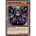 Traptrix Atrax (C) [SDBT]