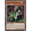Traptrix Vesiculo (C) [SDBT]