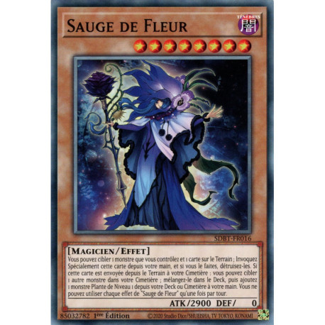 Sauge de Fleur (C) [SDBT]