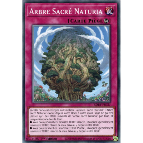 Arbre Sacrée Naturia (C) [SDBT]