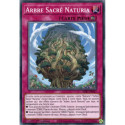 Arbre Sacrée Naturia (C) [SDBT]