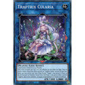 Traptrix Cularia (C) [SDBT]