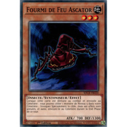 Fourmi de Feu Ascator (C) [SDCK]