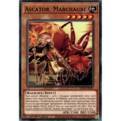 Ascator, Marchaube (C) [SDCK]