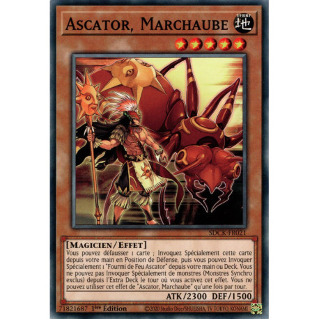 Ascator, Marchaube (C) [SDCK]