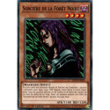 Sorcière de la Forêt Noire (C) [SDCK]