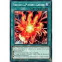 Force de la Puissance Absolue (C) [SDCK]