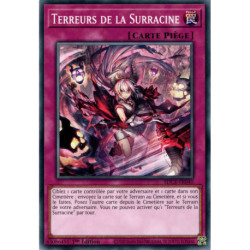 Terreurs de la Surracine (C) [SDCK]